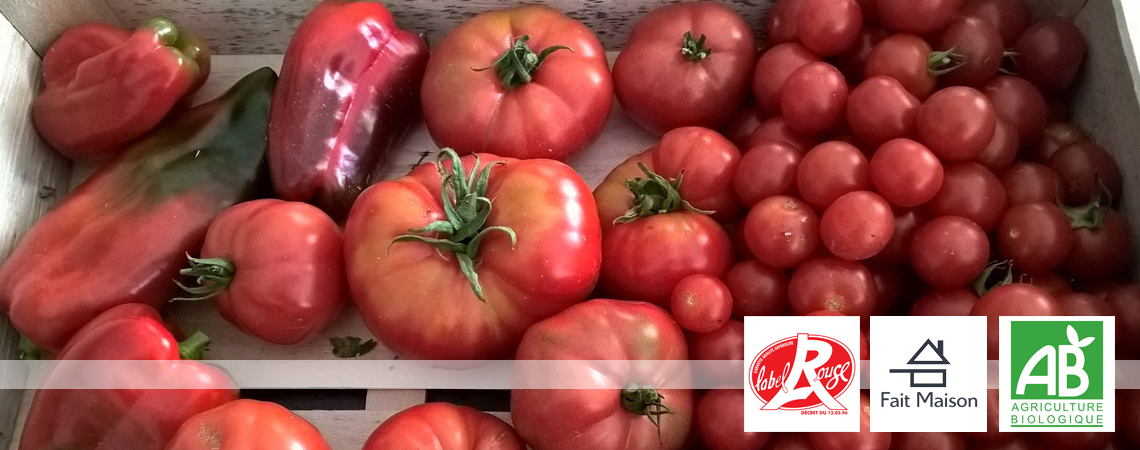 Cuisine respectueuse et engagée Cuisine respectueuse et engagée